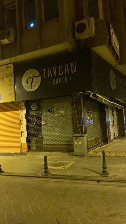 Taycan Shoes