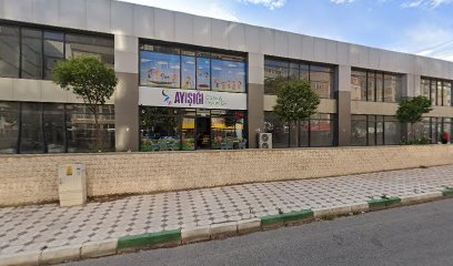 Trakya Eda Oto Emlak