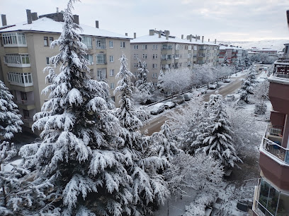 YILDIRIM-CANAK-ELEKTRİK-UYDU-KAMERA İŞLERİ.CANKIRI