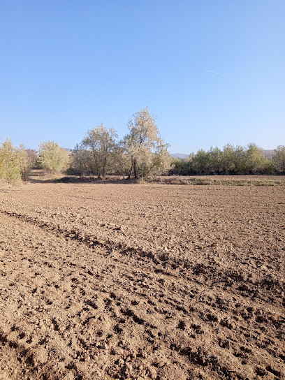 Yıldız Emlak Bekir Kılıç