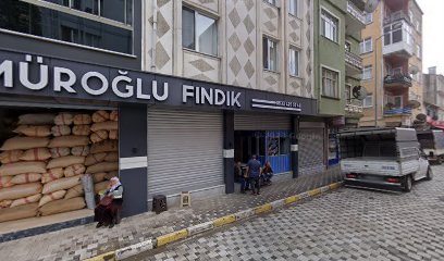 Yılmaz Elektrik