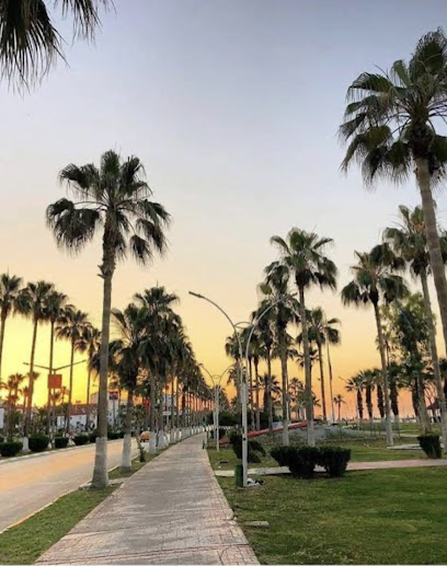 Yurtiçi Gayrimenkul Niğde