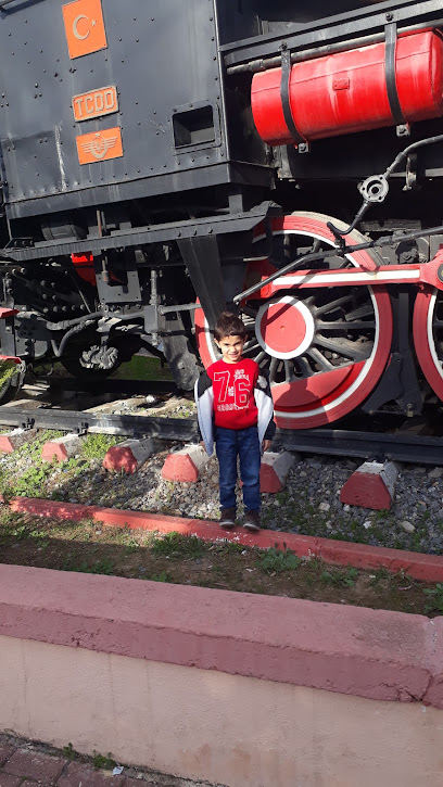 ZERDAM AYAKKABI ÇANTA